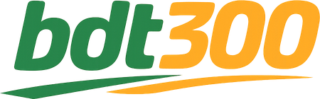 bdt 300 site logo